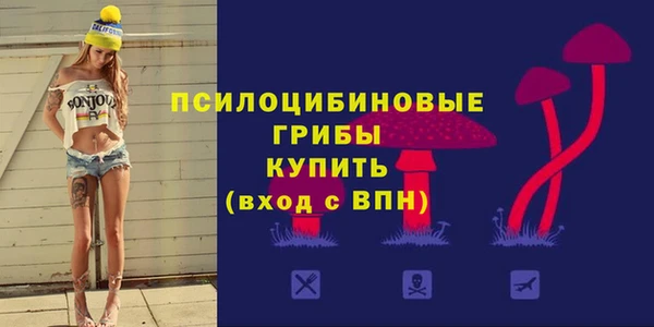 MDMA Бородино