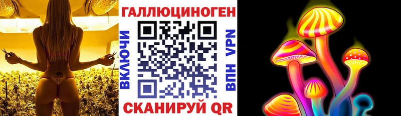 Галлюциногенные грибы Psilocybine cubensis  Кириллов 